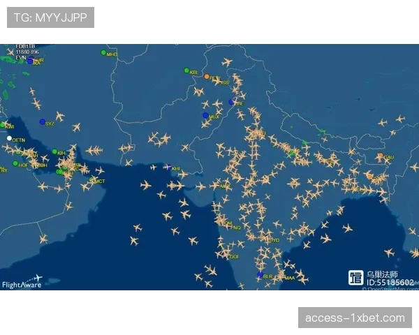 官方调查进展缓慢 真相可能需8至12个月才能揭晓